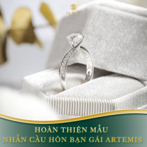 HOAN THIEN MAU NHAN CAU HON BAN GAI ARTEMIS